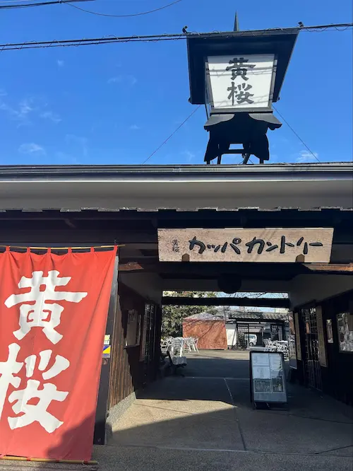 kizakura kappa country