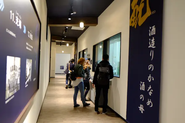 Visitors viewing exhibit panels on koji and shubo, the fermentation starters essential to sake brewing, at Kizakura Museum