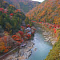 Arashiyama – Where to go during Autumn leaves season in Kyoto