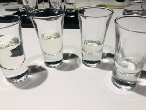 sake tasting