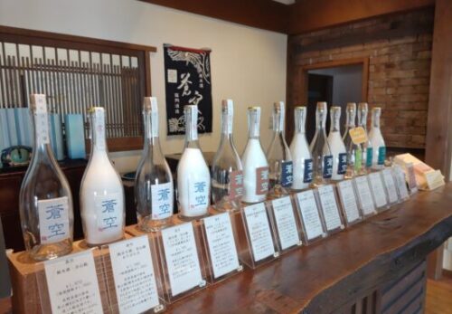 Kyoto No.1 Sake Tasting & Brewery Tour | Kyoto Insider Sake Experience