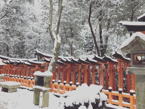 fushimi inari 