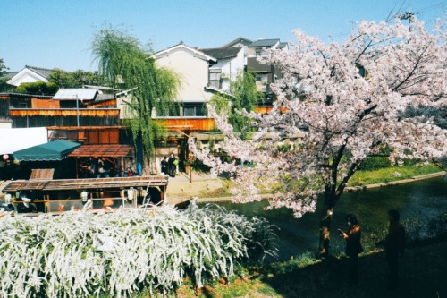 fushimi canal