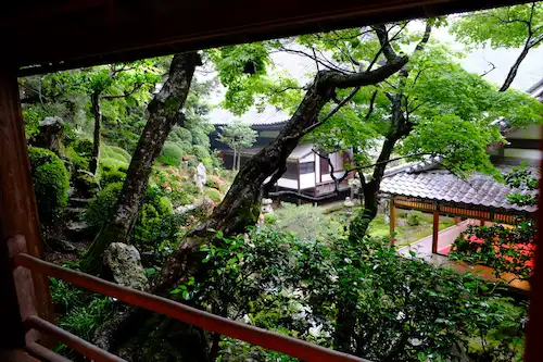 Lush green temple garden with moss-covered trees and traditional Japanese architecture seen from a wooden veranda on a rainy day in Kyoto