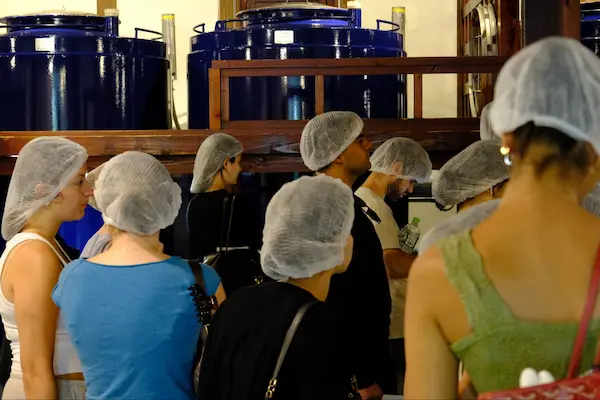 U.S. university students viewing large fermentation tanks inside Matsumoto Sake Brewery