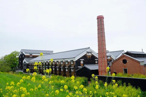 Matsumoto Sake Brewery's historic wooden buildings and red-brick chimney in Fushimi, Kyoto, framed by blooming yellow rapeseed flowers