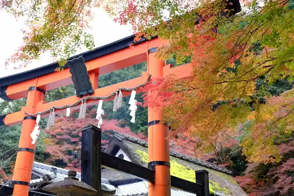Vermillion torii gate at a Kyoto shrine surrounded by autumn foliage in shades of green, yellow, and red